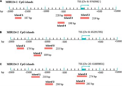 Promoter Hypomethylation of miR-124 Gene Is Associated With Major Depressive Disorder